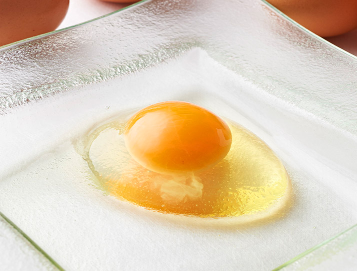 卵 uova
